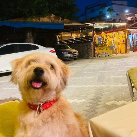 Hotel Doenmez Dalyan Luaran gambar