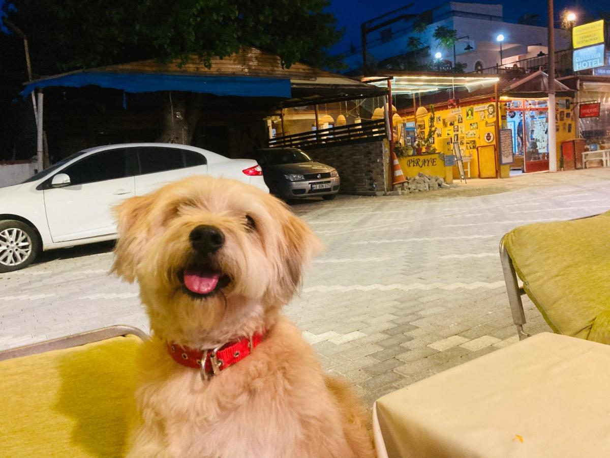 Hotel Doenmez Dalyan Luaran gambar